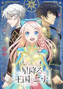 Hoshifuru Oukoku no Nina Dublado