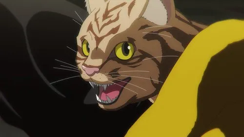 Nyaight of the Living Cat Dublado - Episódio 1